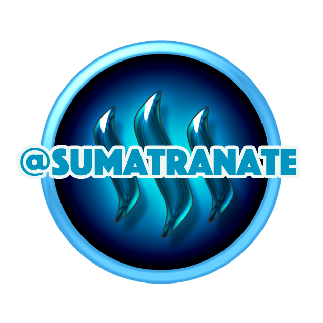 no4-steemit-icon-giveaway-sumatranate.png
