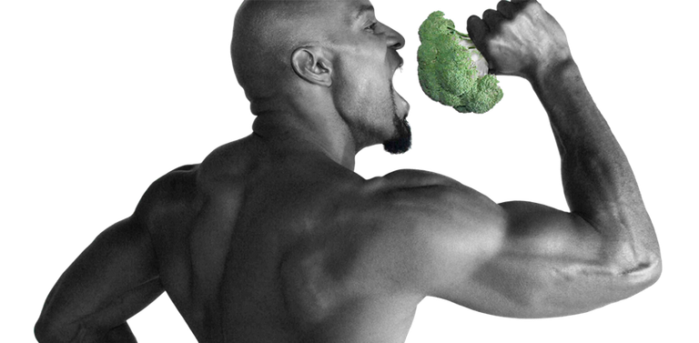 wayne-brocolli-2-1024x502.png