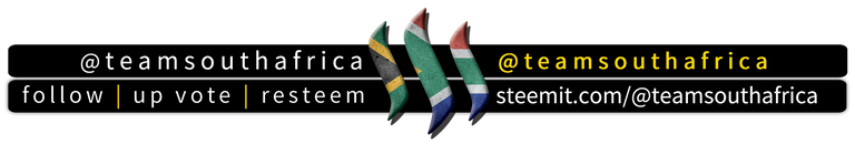 teamsouthafrica.png