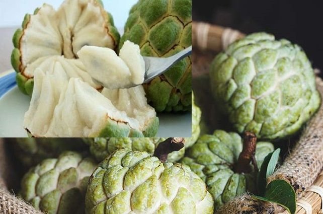 2359-Benefits-Of-Custard-Apple-Sitaphal-During-Pregnancy-ss.jpg