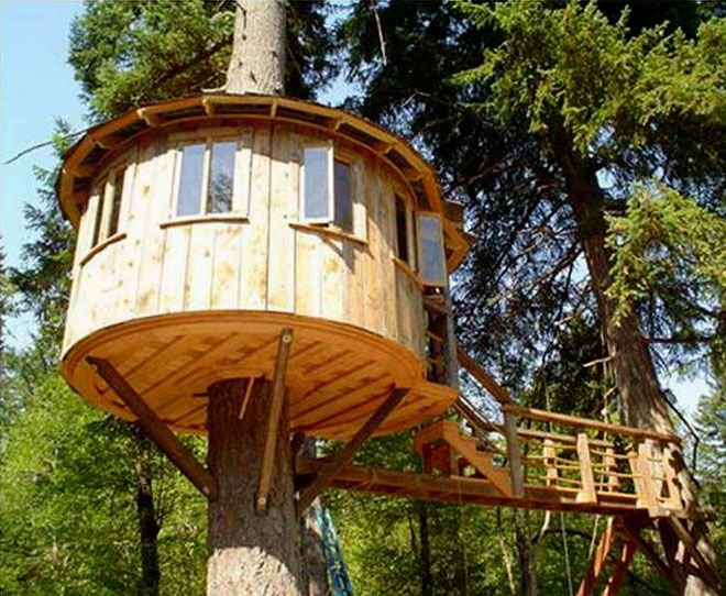 5-tree-house-cool.jpg