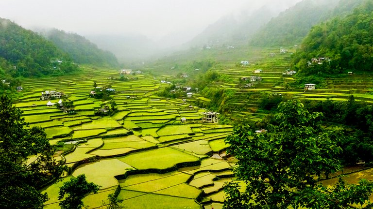 Banaue-1.jpg