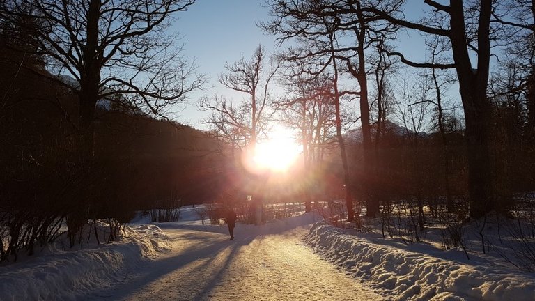 20170129_163340.jpg
