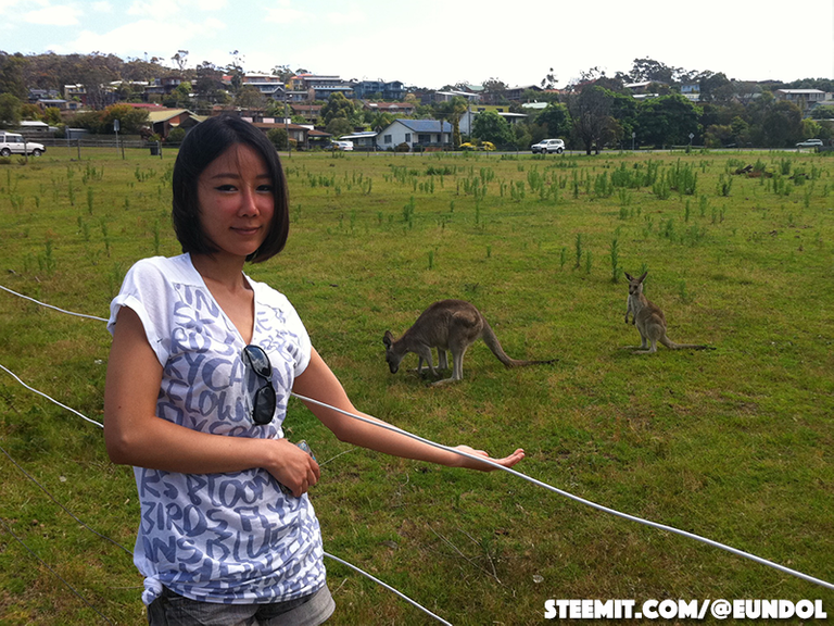 hanging_rock3.png