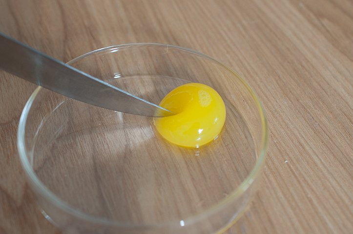 BellPepper-EggYolkSphere5.jpg