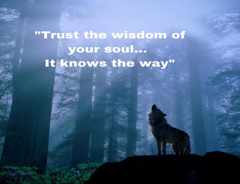 -Trust the wisdom of your soul, It knows the way-.png