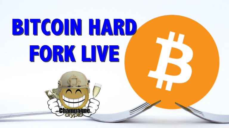 BTC LIVE2.jpg