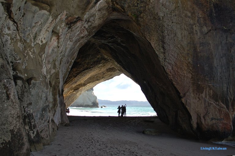 nz6_11.jpg