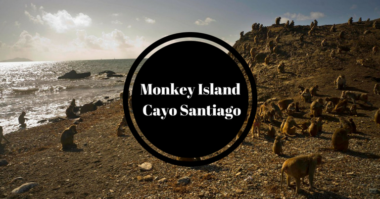 Monkey island.png