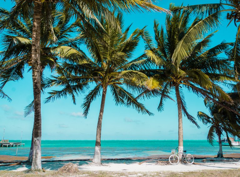 Belize Caye Caulker 