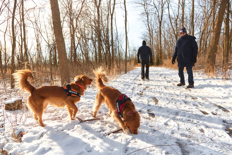 hike family christmas 2017 9.jpg