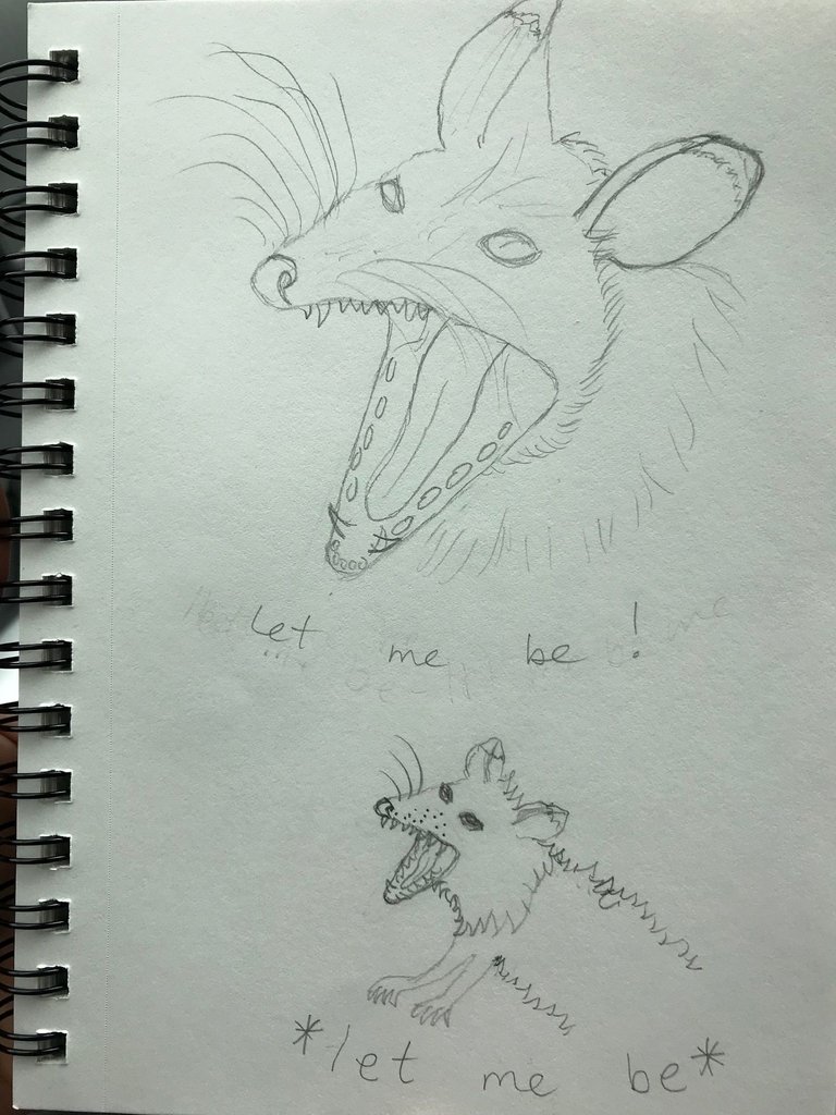 possums pg 1.jpg