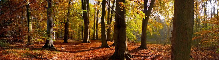 Herbst_Panorama76.jpg