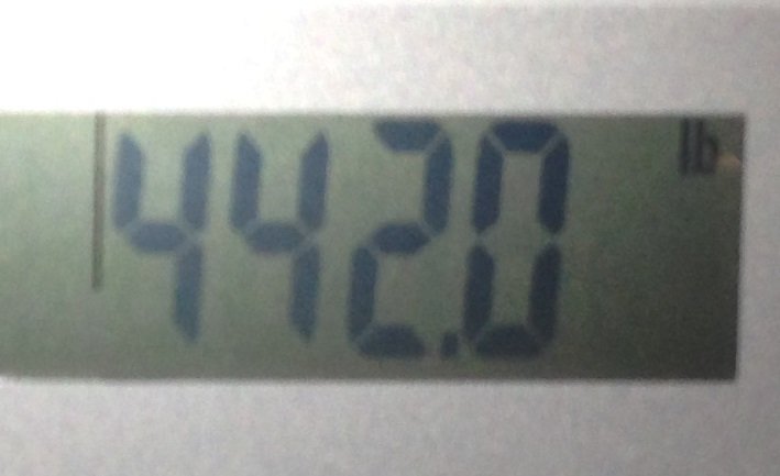 weight 180117.jpg