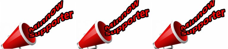 Minnow Supporter Cover.jpg