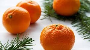 oranges.jpeg