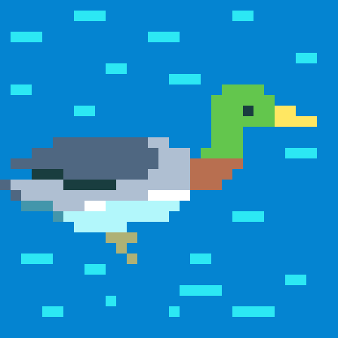 duck.png