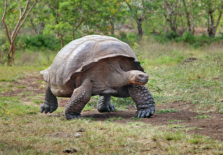 galapagos-islands5.jpg