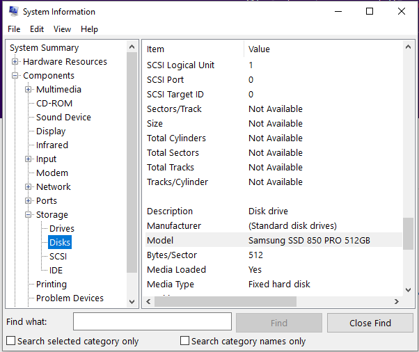 W110_SystemInformation_Disks.PNG