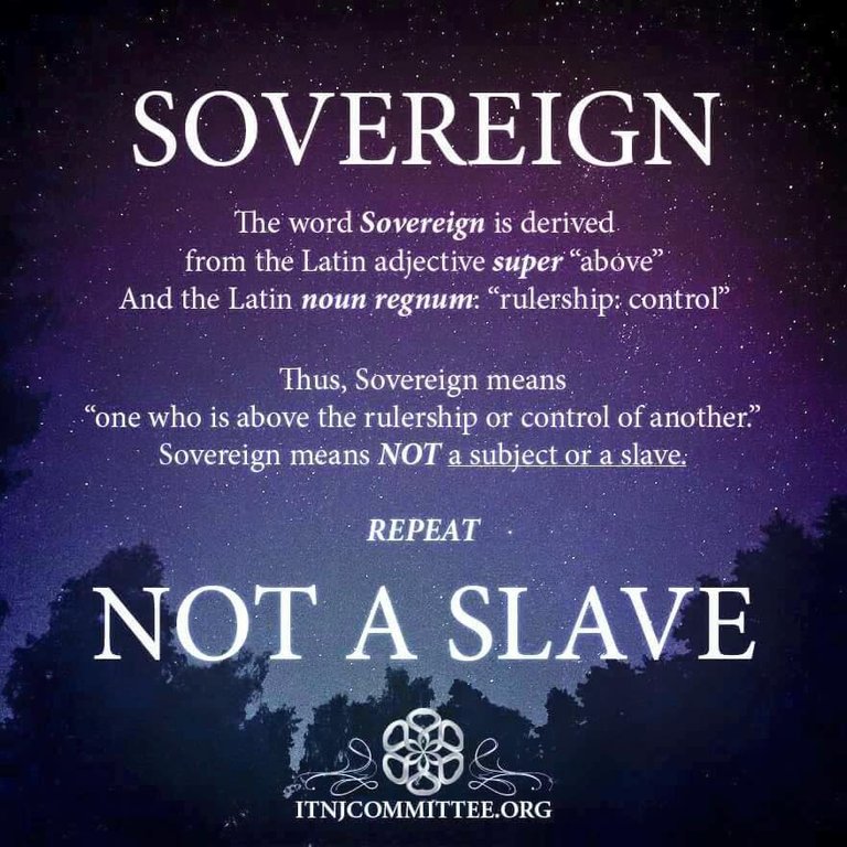 SOVEREIGN NOT A SLAVE.jpg