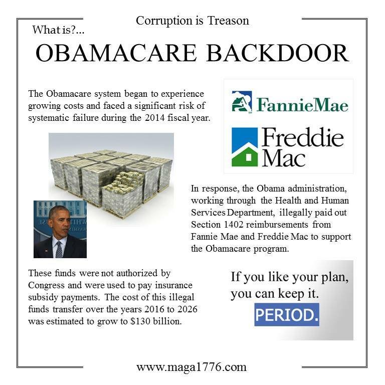 OBamacare Backdoor.jpg