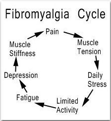 cycle-fibromyalgia.jpg