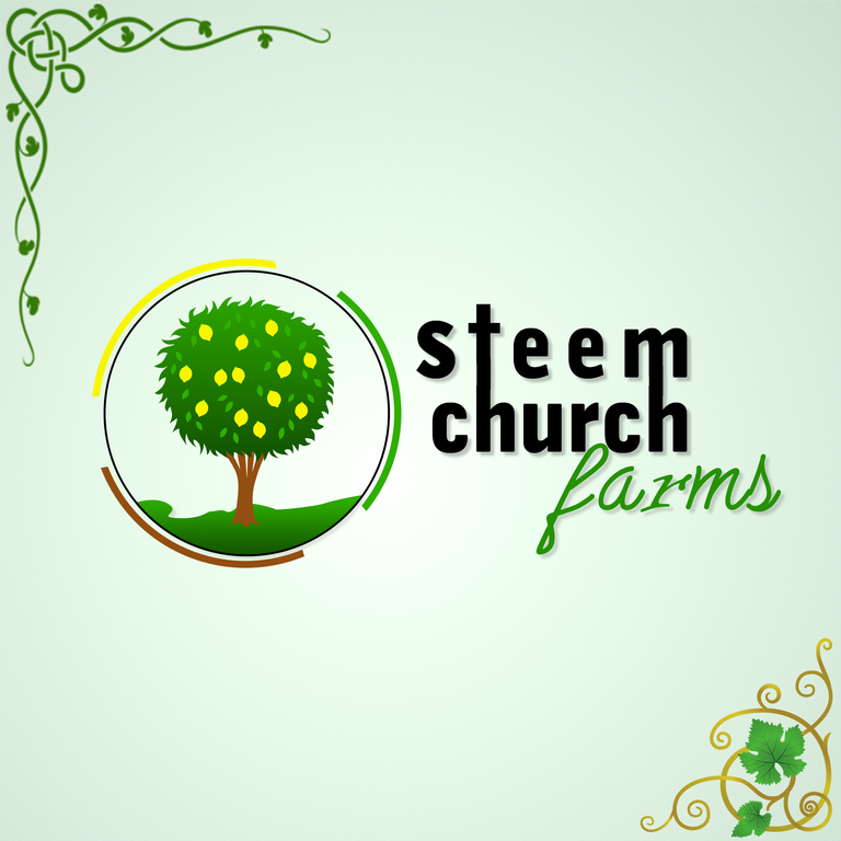 steem church farmq.png