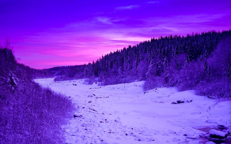 purple-night-winter-landscape.jpg