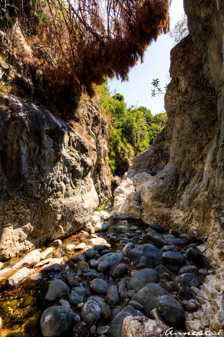 _MG_1181_2_3.jpg