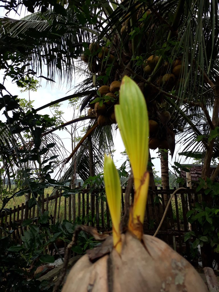 20171228_092450[1].jpg