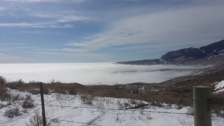 20170311_093605[1].jpg