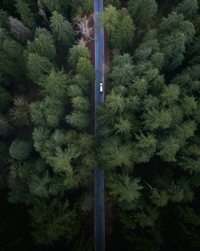 DJI_0024.jpg