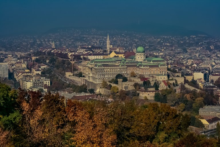 _MG_8327.jpg