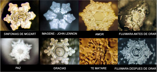 Water-Memory masaru emoto.png