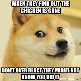 when-they-find-out-the-chicken-is-gone-dont-over-react-they-might-not-know-you-did-it.jpg