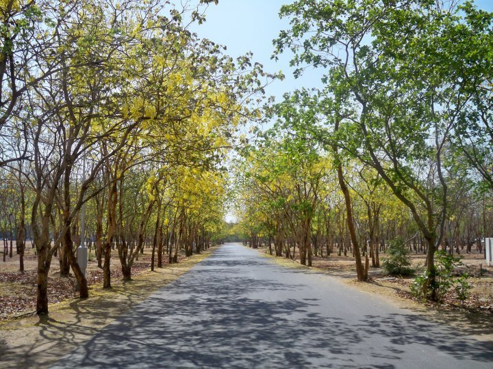 Gandhinagr Road.jpg