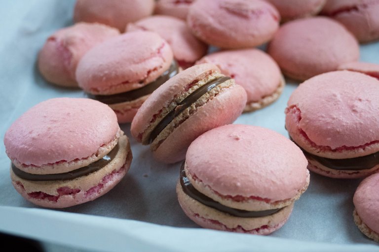 macarons 4.jpg