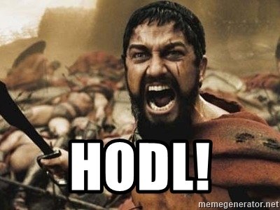 hodl.jpg