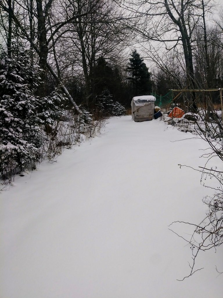 20180130_082020.jpg