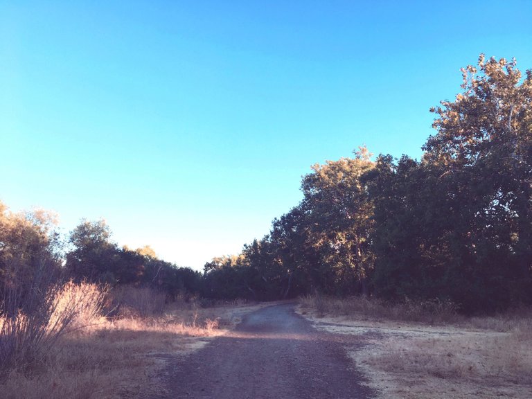 Nature Creek Trail - October California 004.JPG