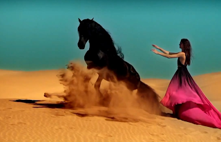 Sting-Desert-Rose-Image-YouTube-Video.png