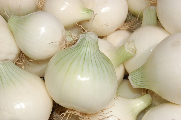 peeled_white-onion.jpg