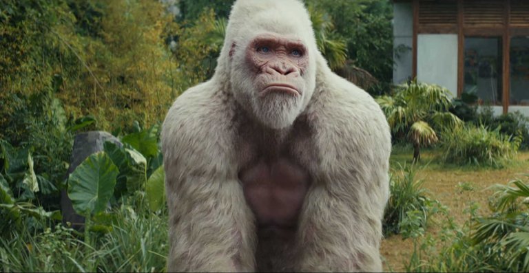 rampage-movie-gorilla-george-rock-dwayne-johnson-monkey5.jpg