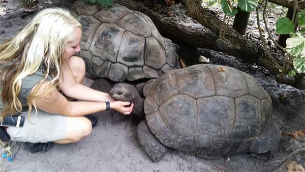 170907-aldabra-tortoises-ac-759p__359a0e69fcf1c3cdad852655404af194.nbcnews-ux-600-480.jpg