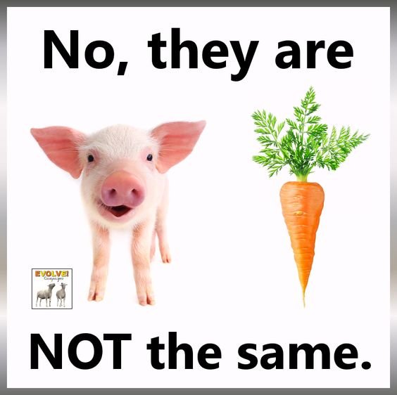 plants are not animals.jpg
