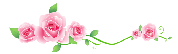 Transparent_ Roses_Decoration_PNG_Picture.png