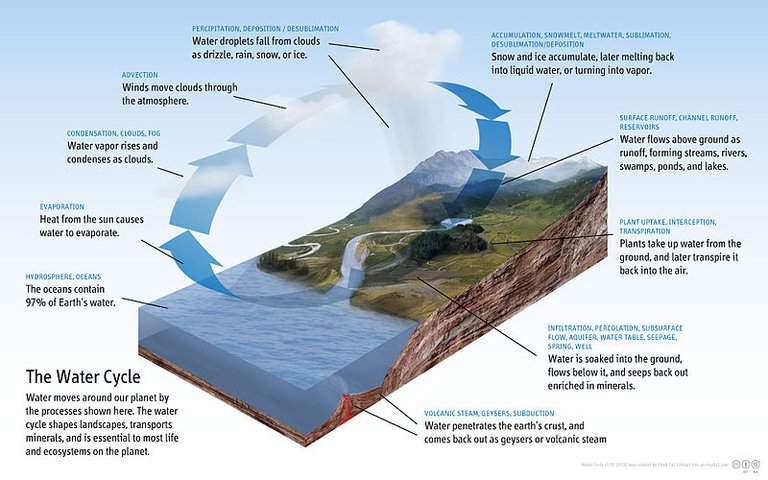 Diagram_of_the_Water_Cycle.jpg