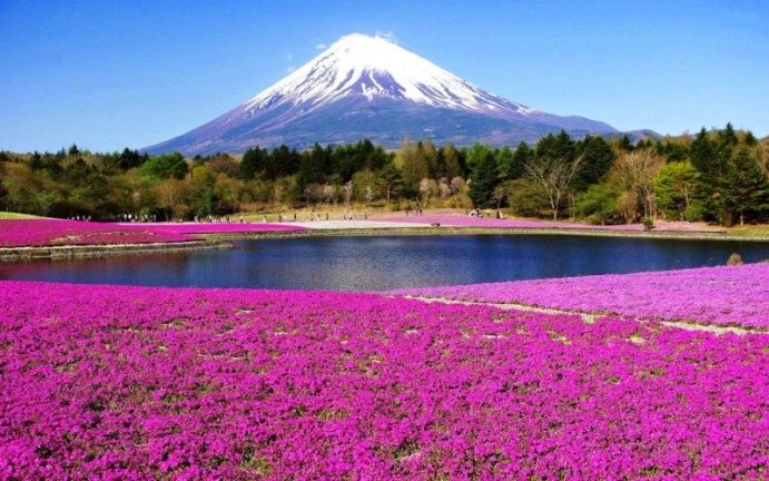 Pemandangan-Gunung-fuji.jpg