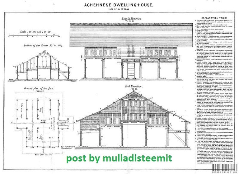 sketsa rumah aceh yang di peugout oleh ureung belanda.jpg