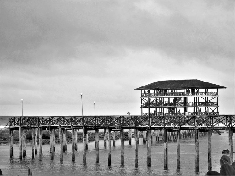 B & W boardwalk.JPG